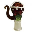 DOME EVOLUTION RED VENUS - Big Dog Distribution Ltd.